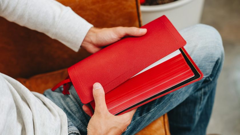 A person sitting on a couch holding a red folder